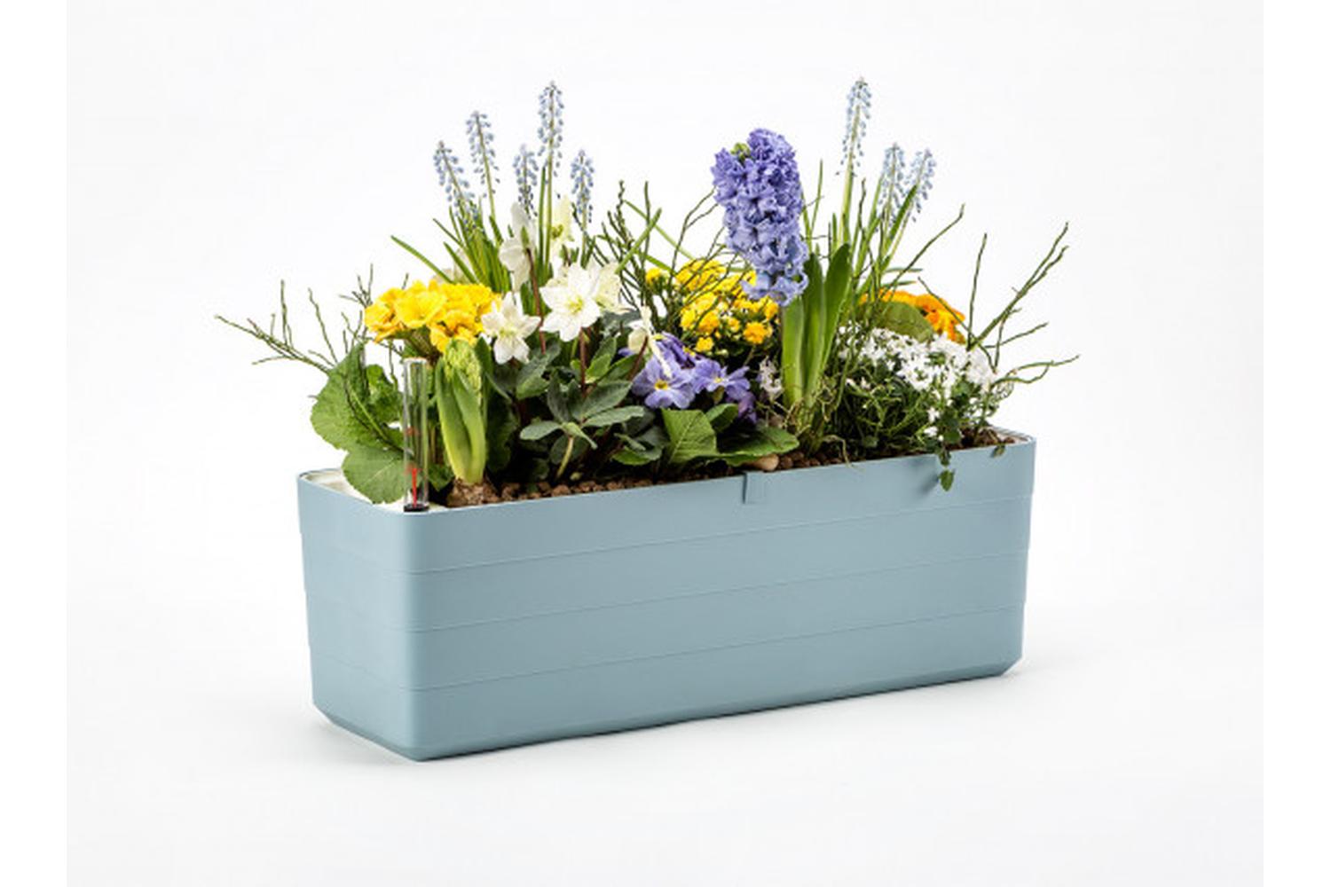 Plastia Berberis Flower Box | Blue & White | 60cm-2