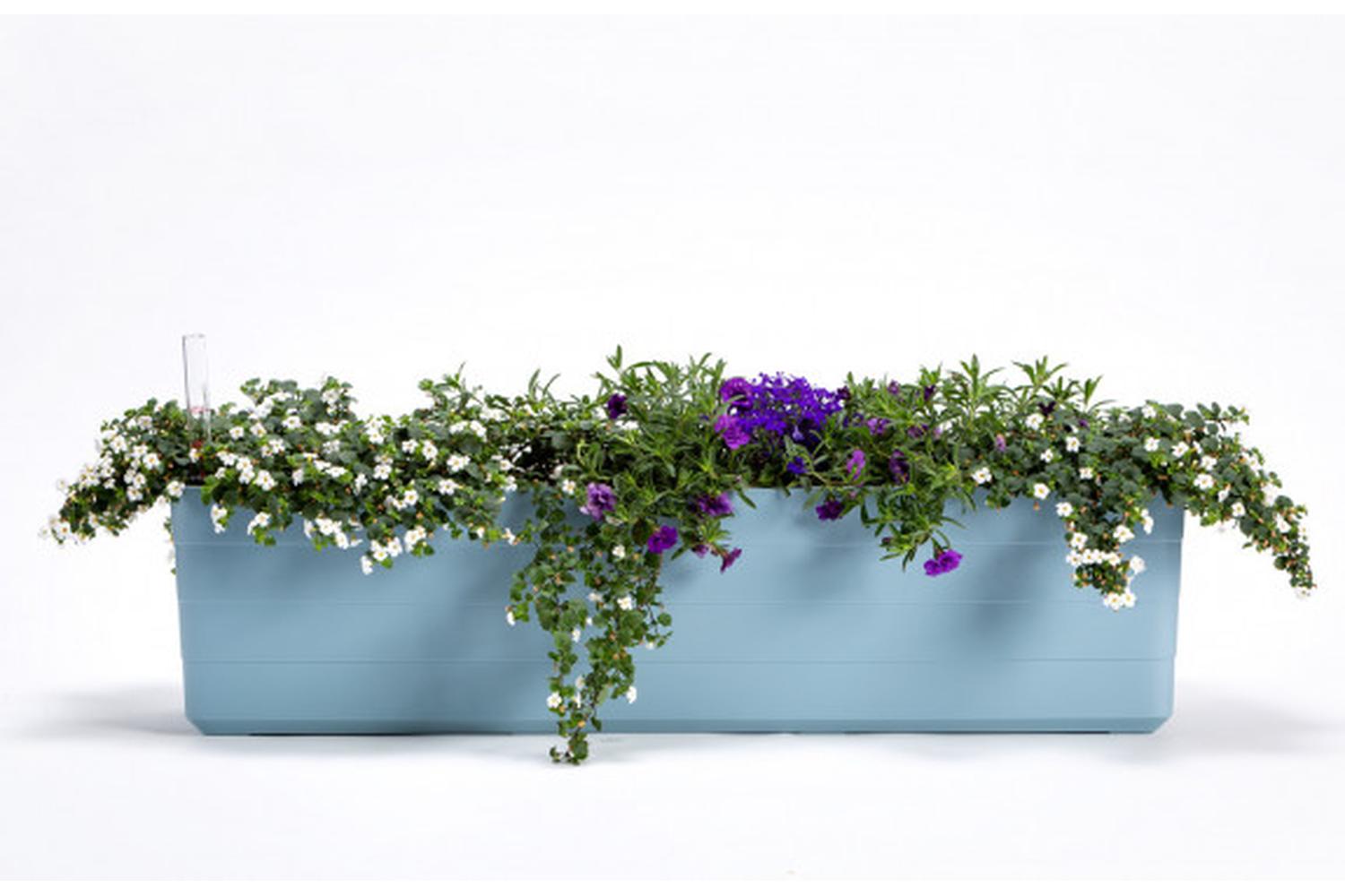 Plastia Berberis Flower Box | Blue & White | 60cm-3