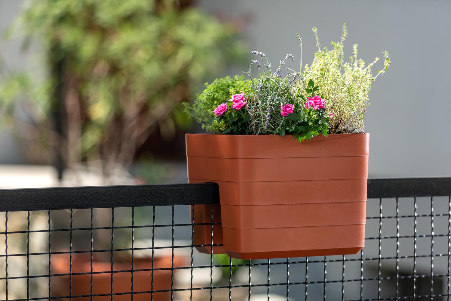 Plastia Berberis Flower Box Balcony Box | Terracotta | 24cm-2