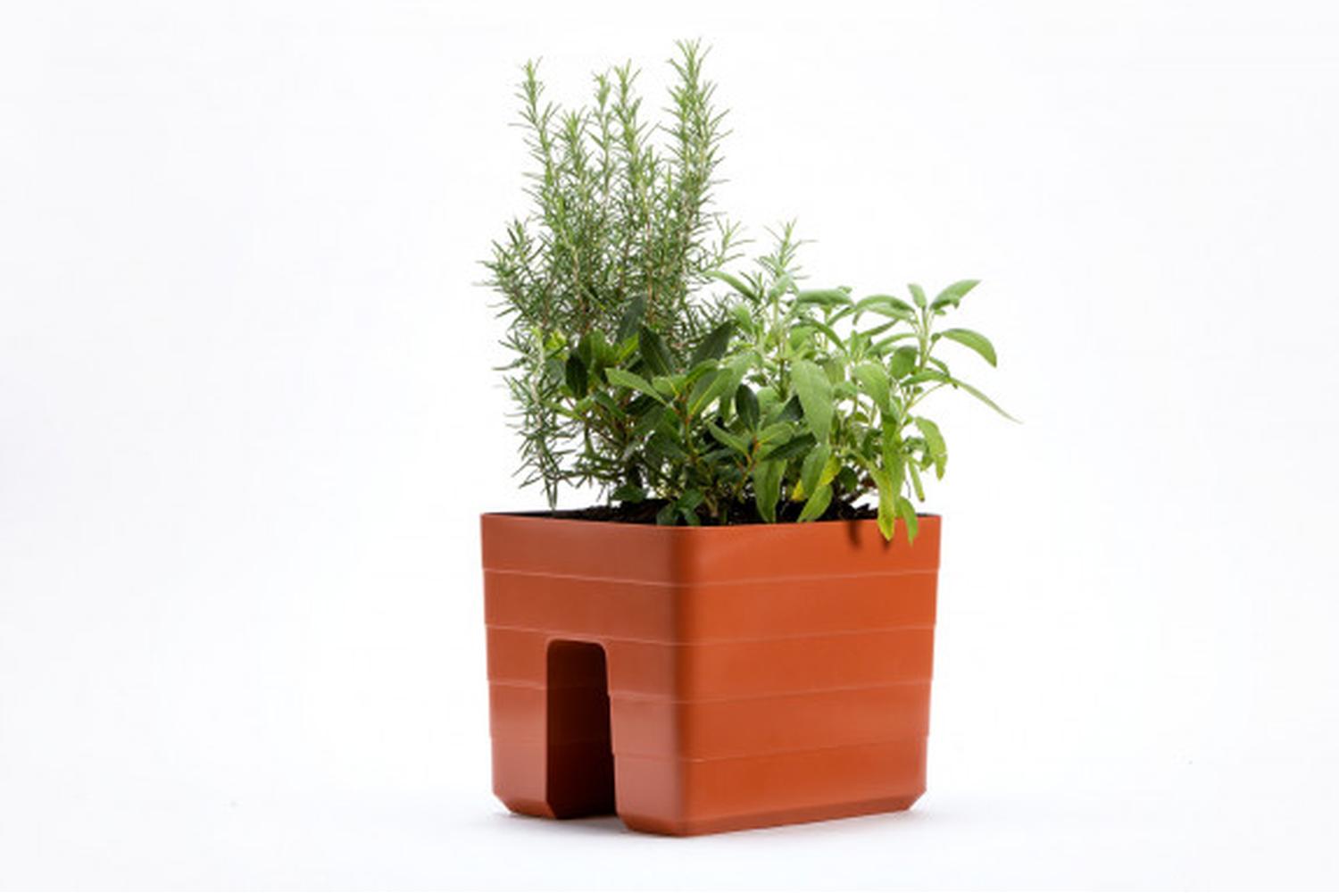 Plastia Berberis Flower Box Balcony Box | Terracotta | 24cm-5