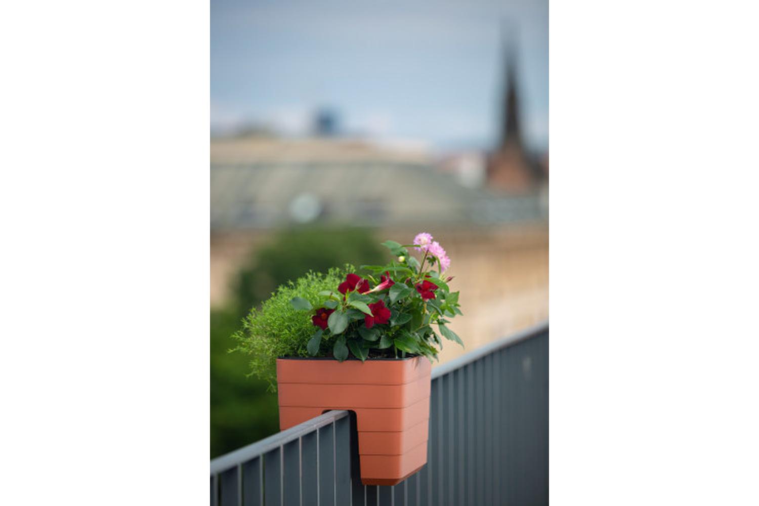 Plastia Berberis Flower Box Balcony Box | Terracotta | 24cm-6