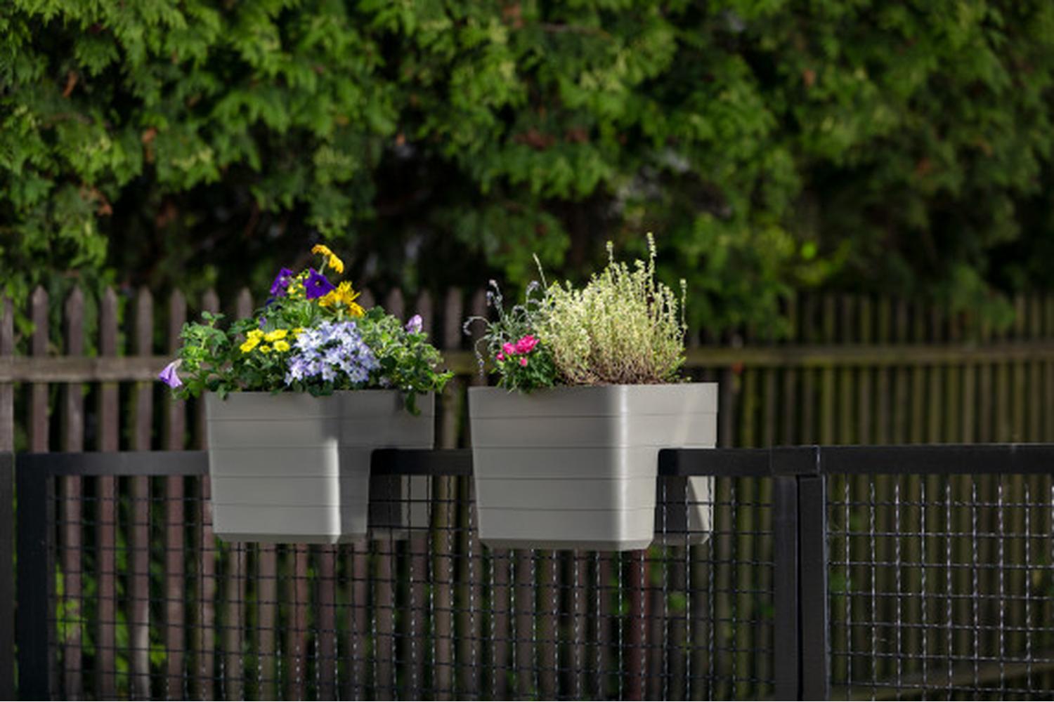 Plastia Berberis Flower Box Balcony Box | Grey | 24cm-2