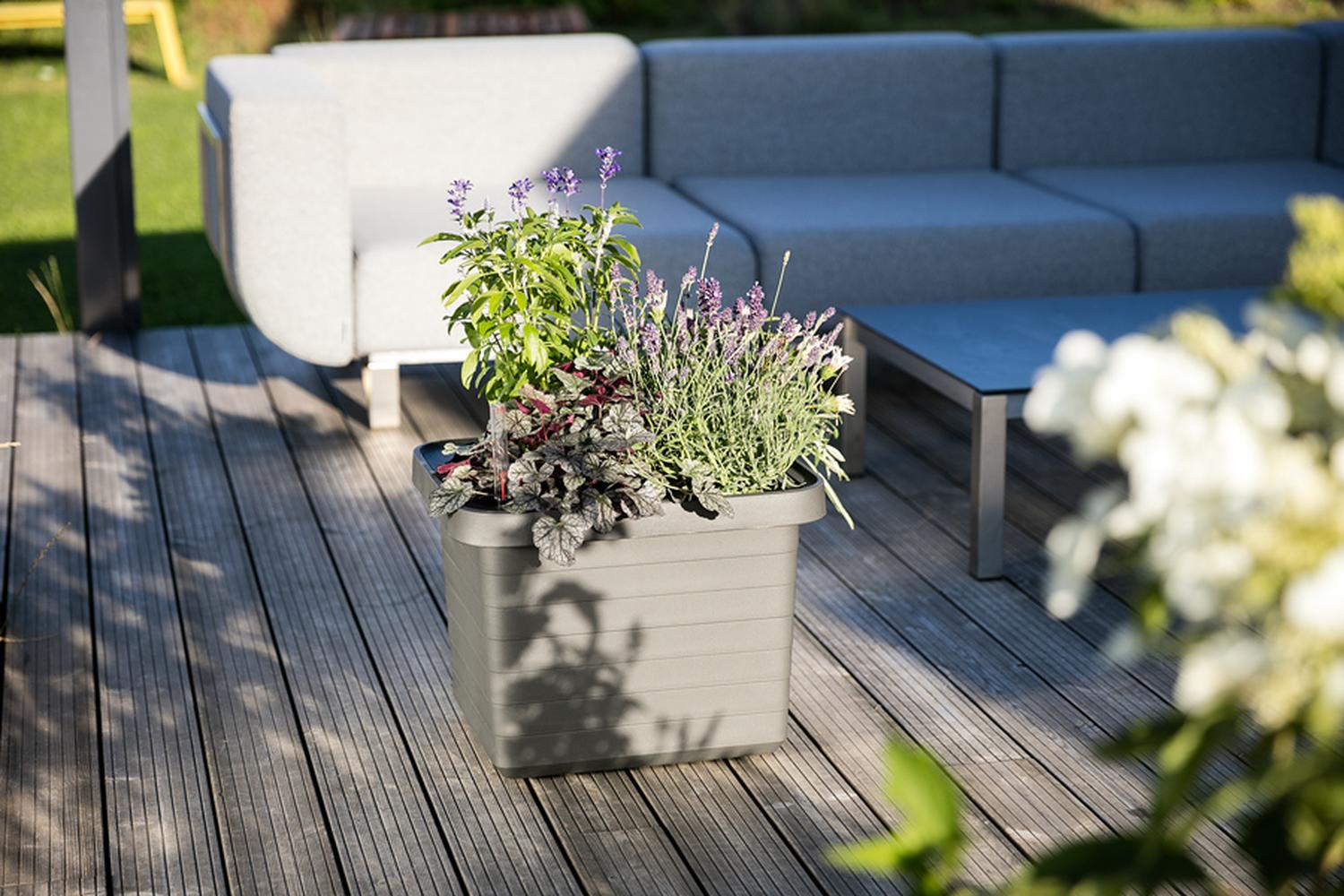Plastia Berberis Flower Box Uno | Taupe | 45cm-5