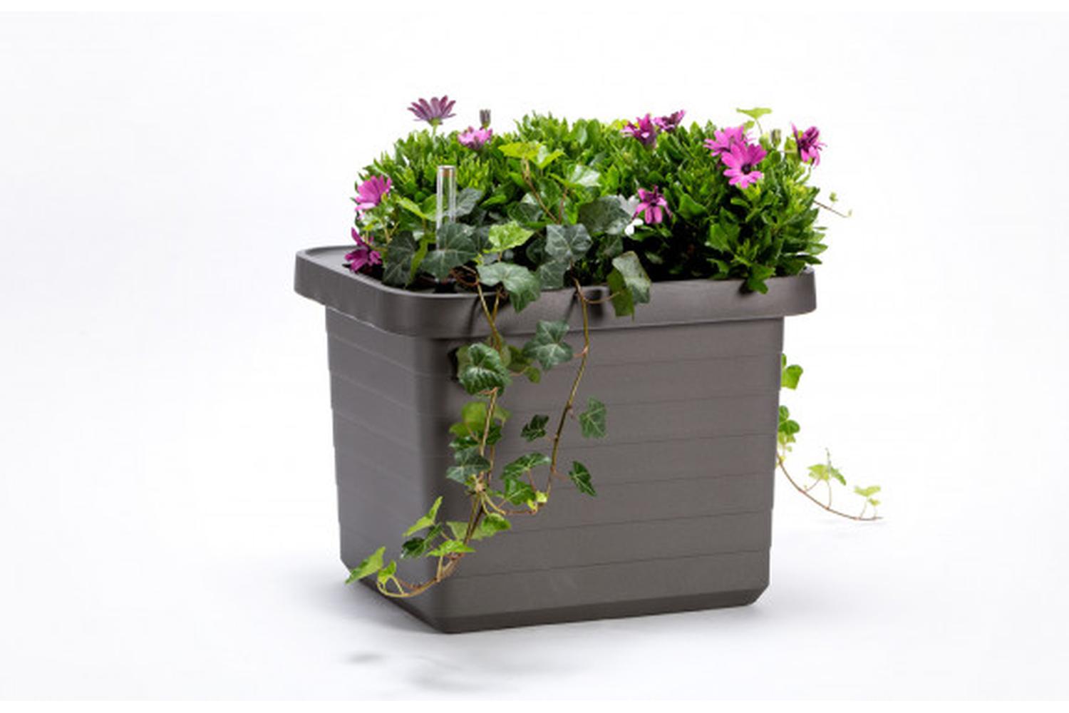 Plastia Berberis Flower Box Uno | Grey| 45cm-2