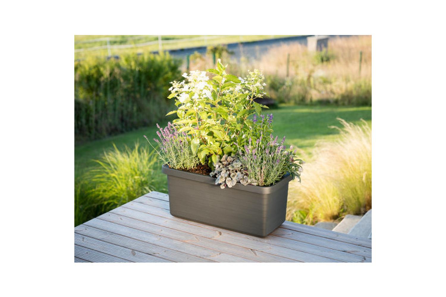 Plastia Berberis Flower Box Duo | Taupe | 78cm-2