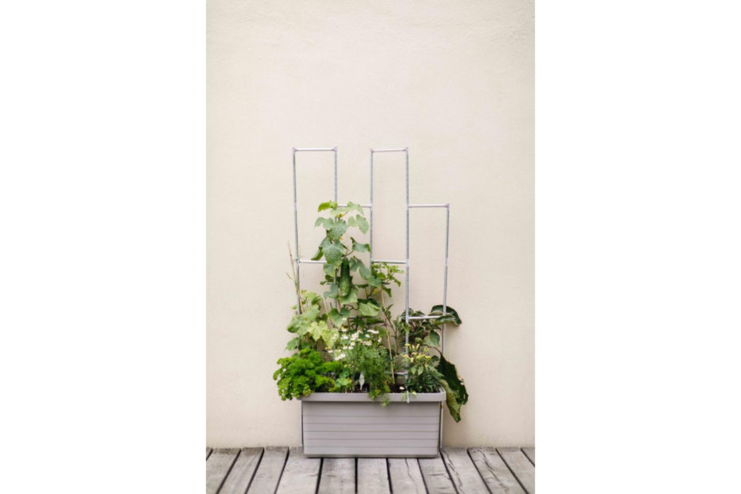 Plastia Berberis Flower Box Duo | Taupe | 78cm-3
