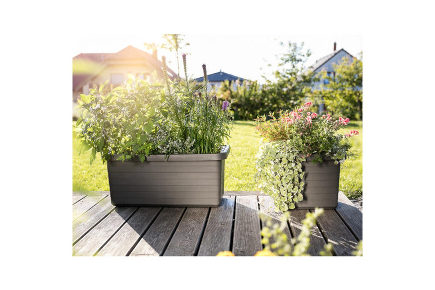Plastia Berberis Flower Box Duo | Taupe | 78cm-6