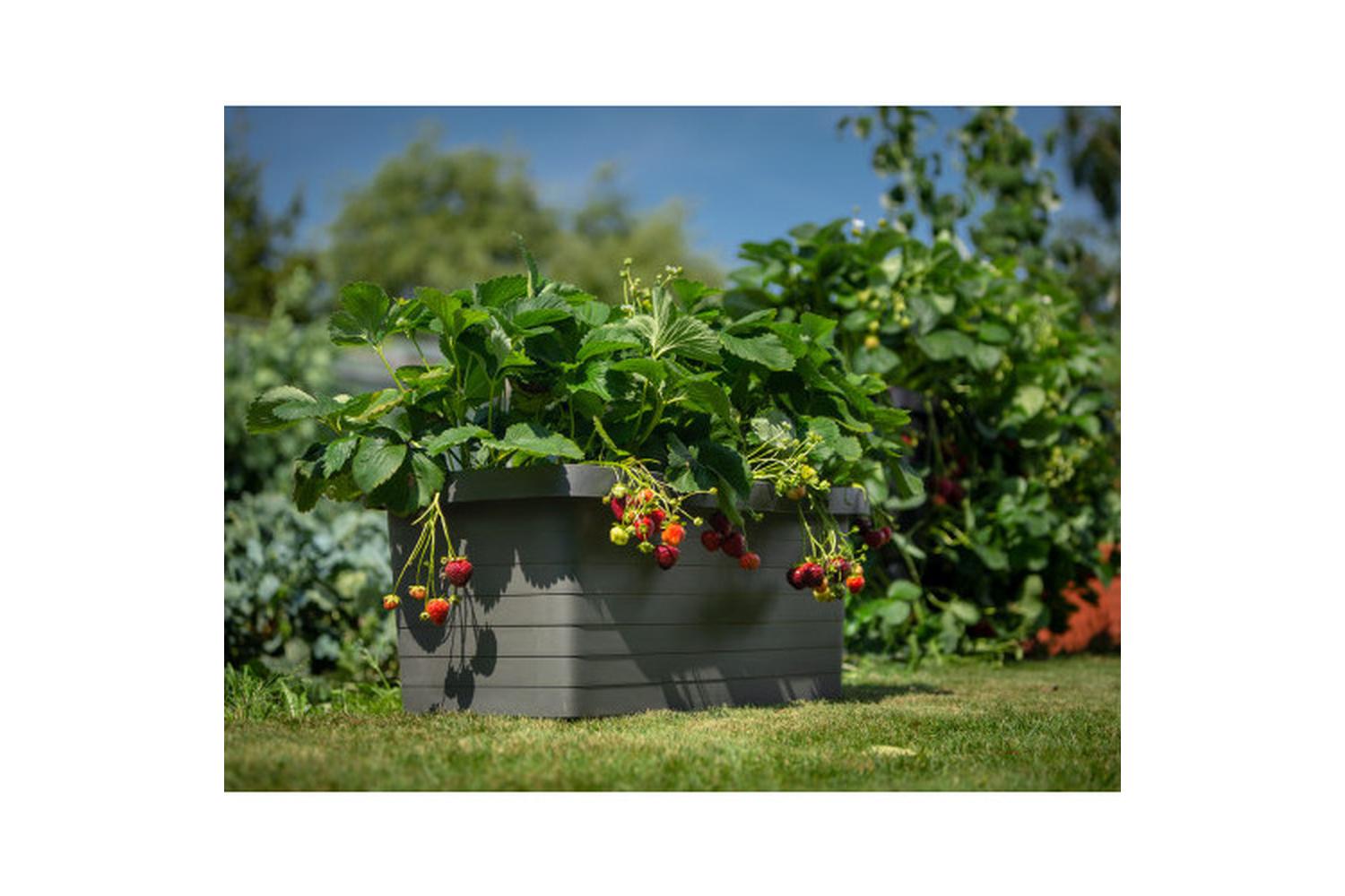 Plastia Berberis Flower Box Duo | Grey | 78cm-2