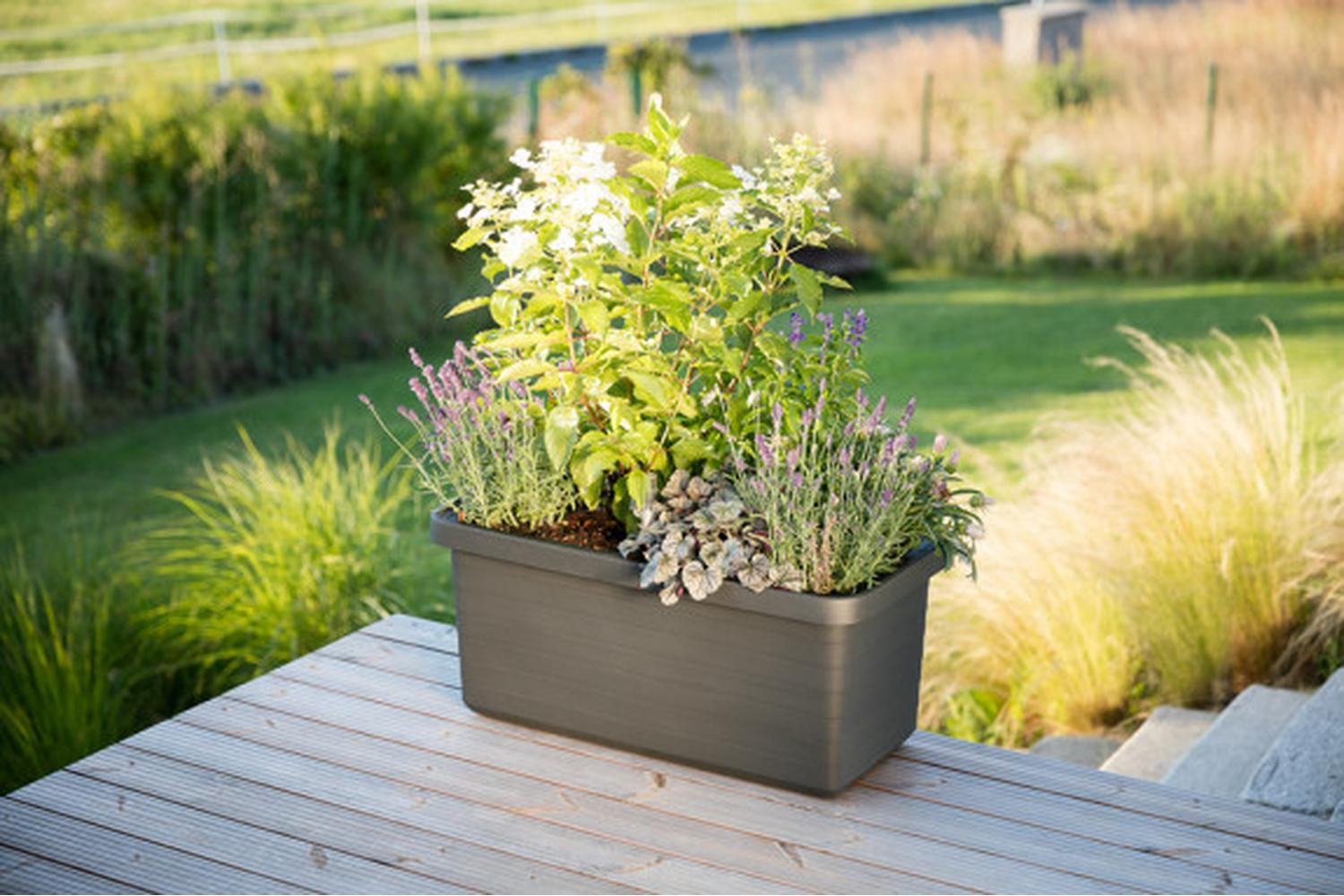 Plastia Berberis Flower Box Duo | Grey | 78cm-3