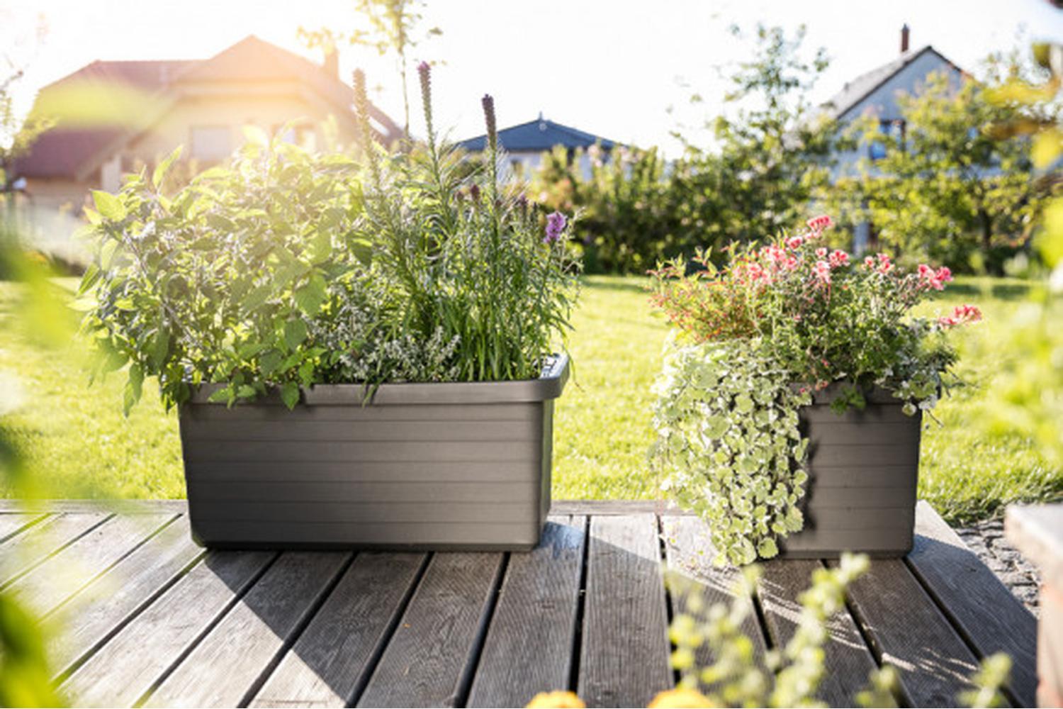 Plastia Berberis Flower Box Duo | Grey | 78cm-4