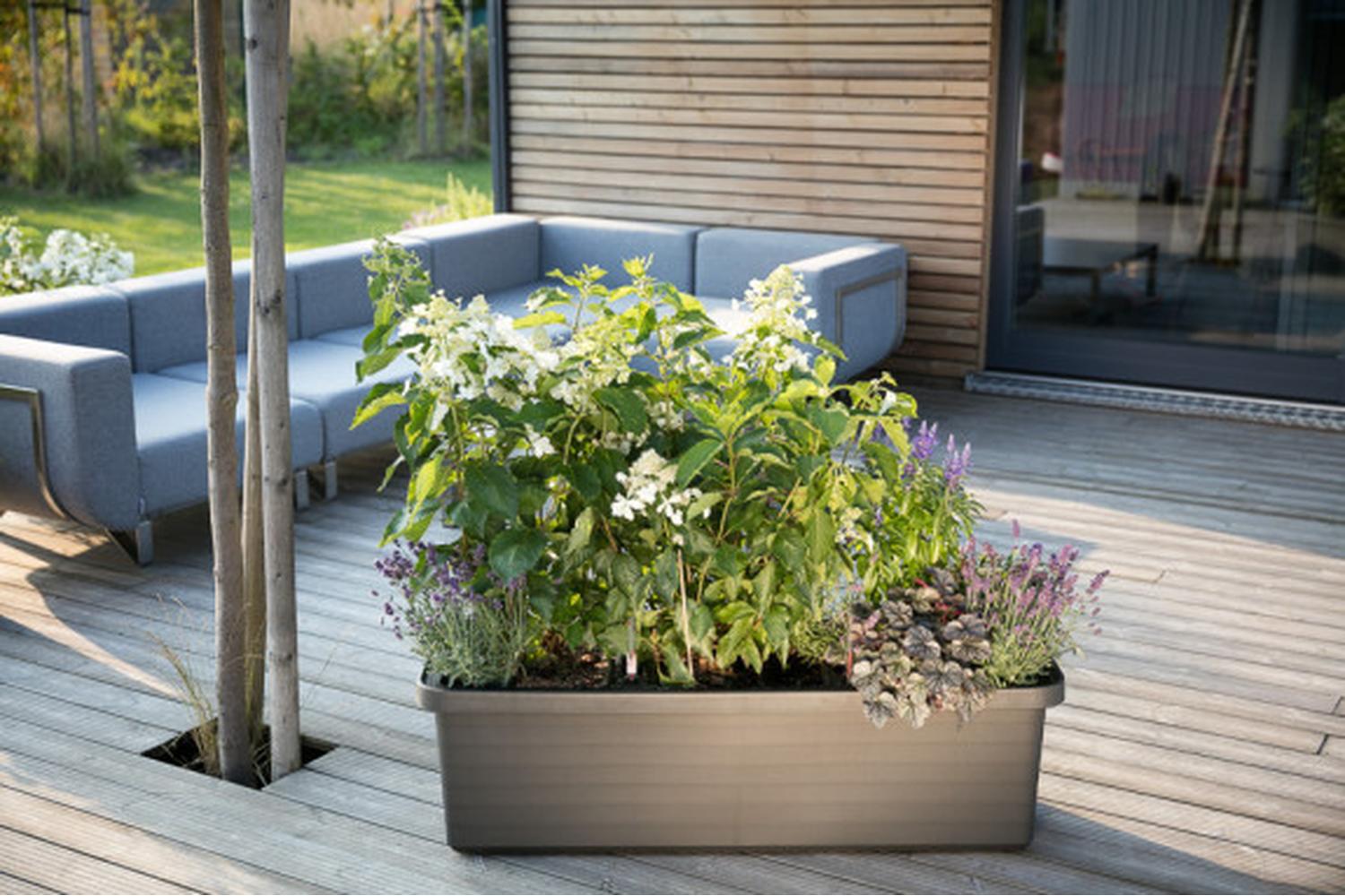 Plastia Berberis Trio Flower Box | Taupe | 117cm-2