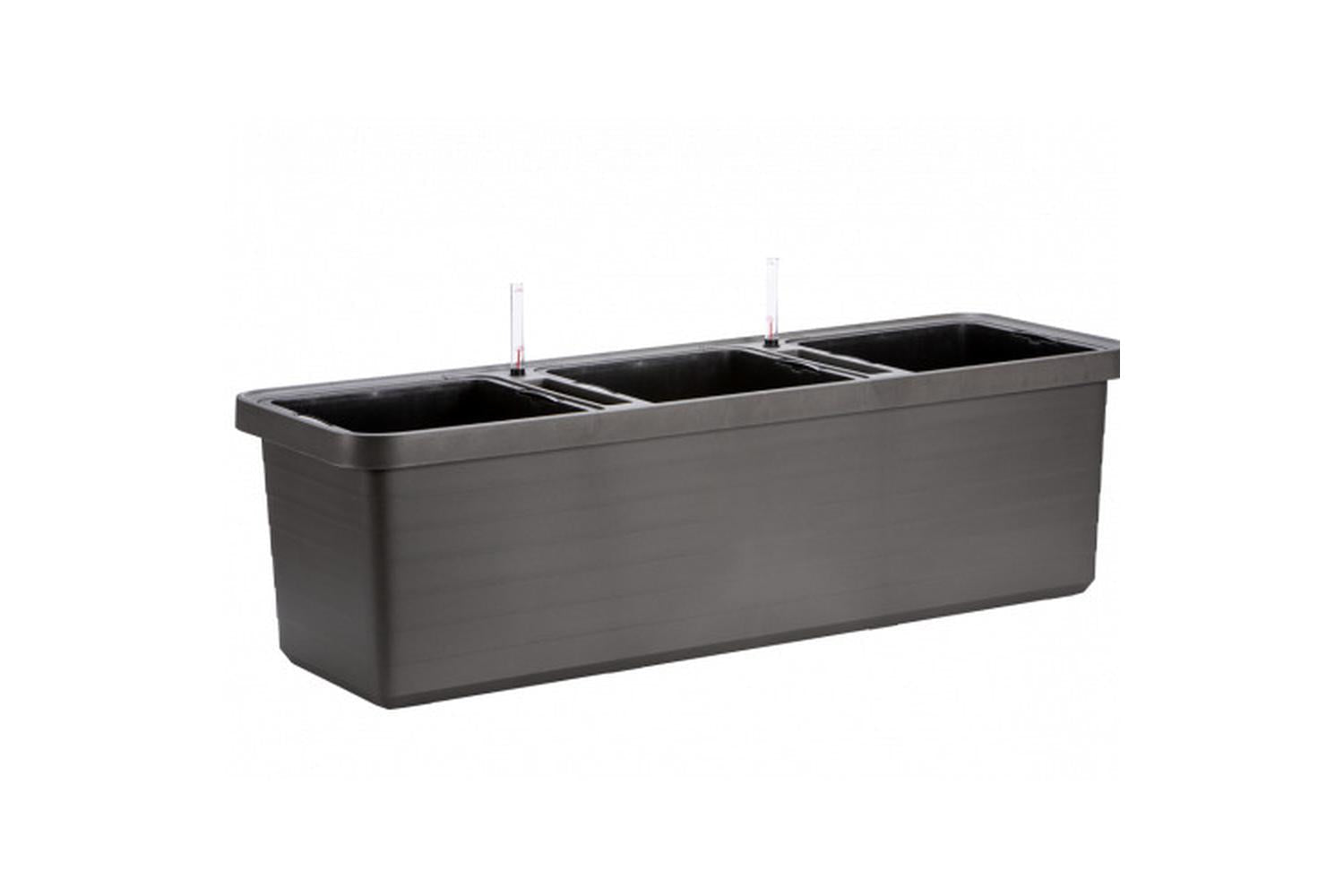 Plastia Berberis Trio Flower Box | Anthracite |  117cm