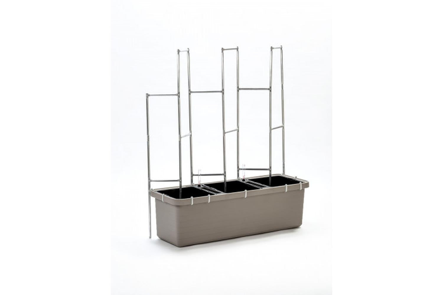 Plastia Berberis Trellis for Growing Plants | Silver-2
