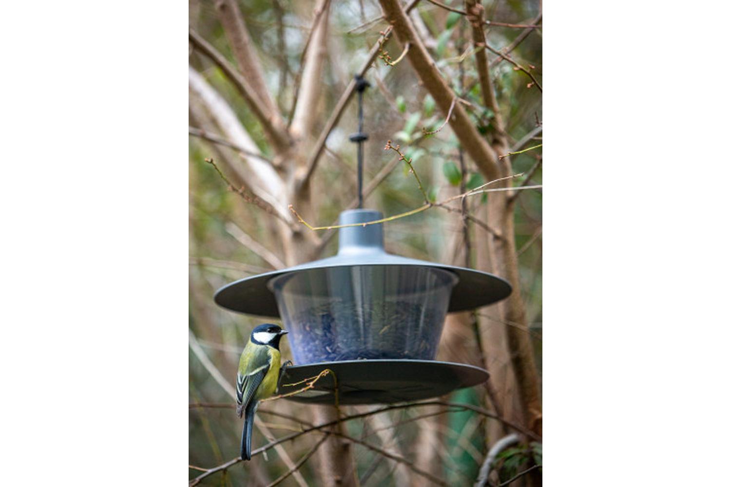 Plastia Finch Bird Feeder | Anthracite | 28cm-3