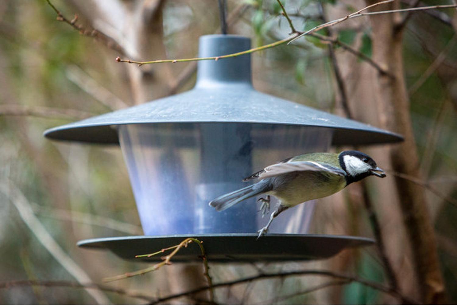 Plastia Finch Bird Feeder | Anthracite | 28cm-4
