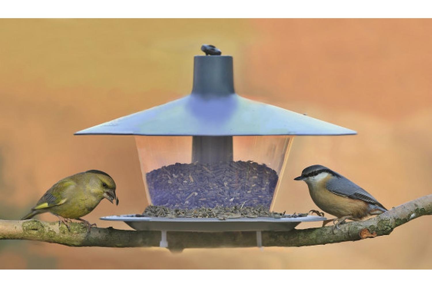 Plastia Finch Bird Feeder | Anthracite | 28cm-7