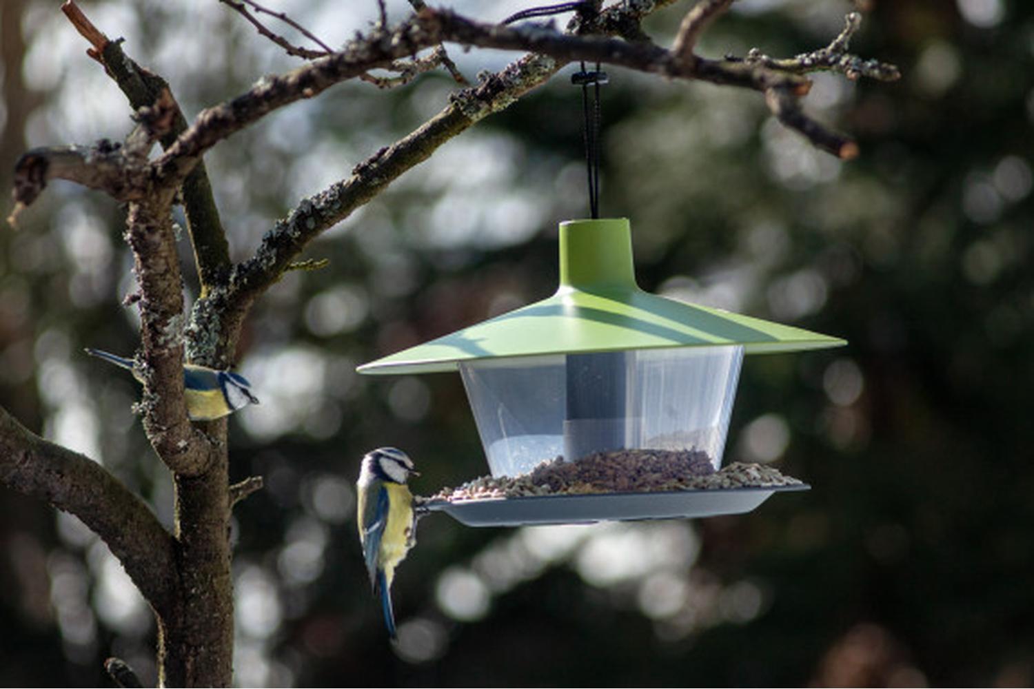Plastia Finch Bird Feeder | Green | 28cm-2