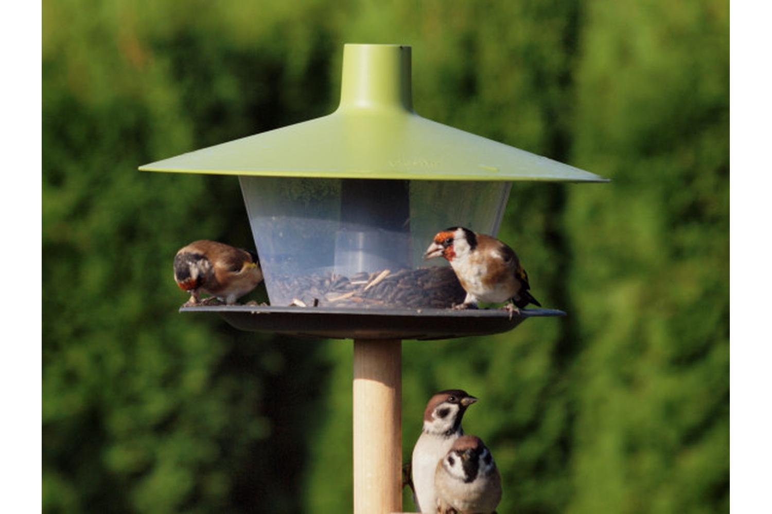Plastia Finch Bird Feeder | Green | 28cm-3