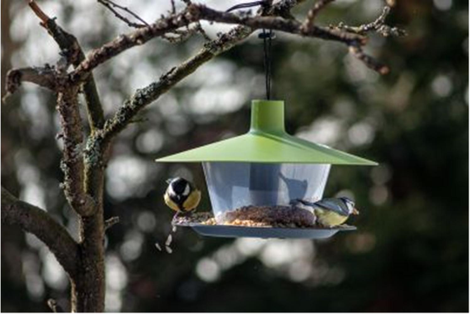 Plastia Finch Bird Feeder | Green | 28cm-5