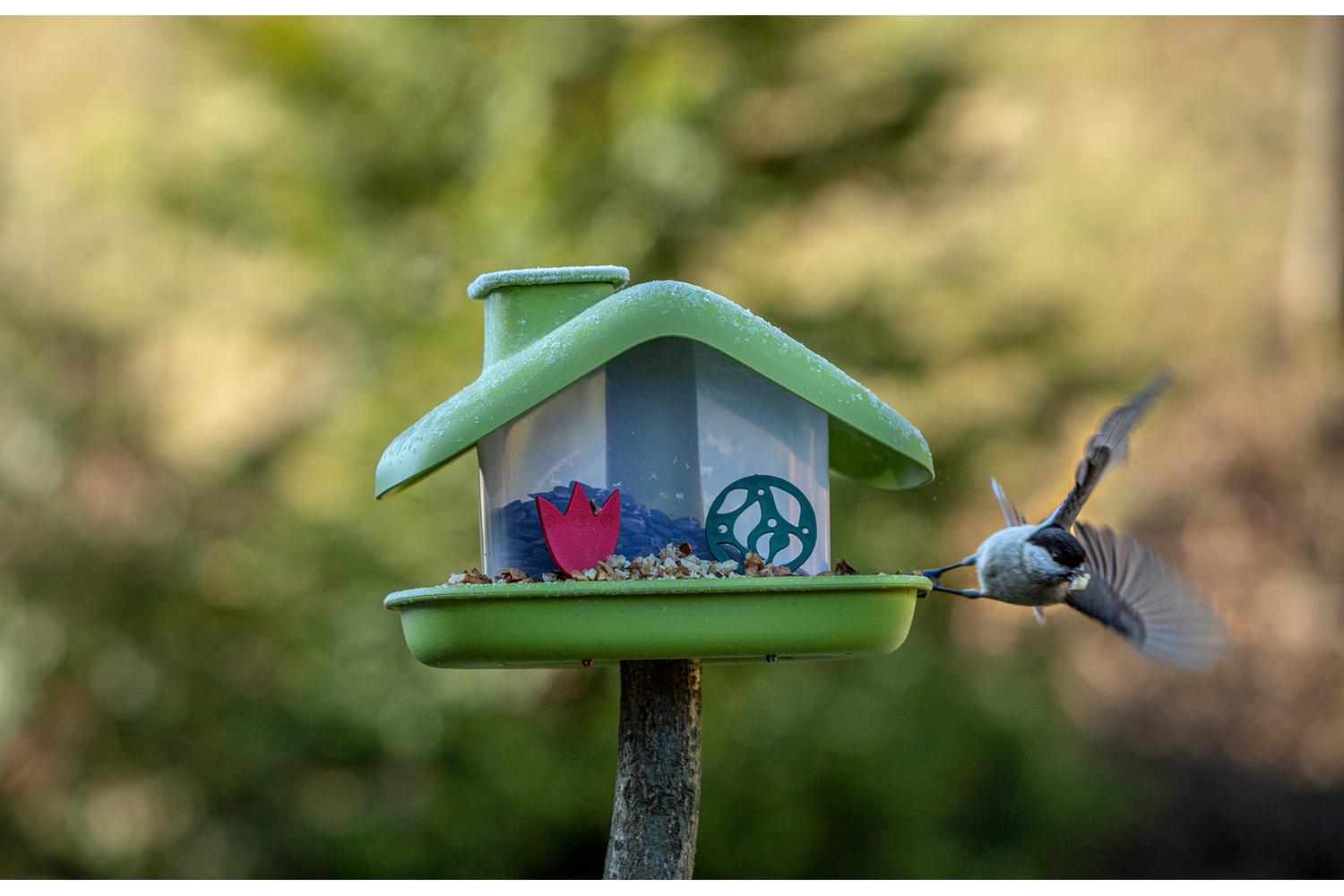 Plastia Domek Bird Feeder | Green | 21cm-3