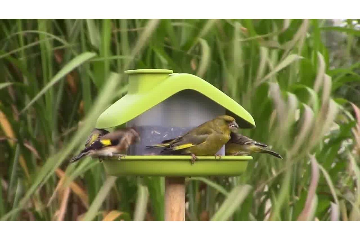 Plastia Domek Bird Feeder | Green | 21cm-4