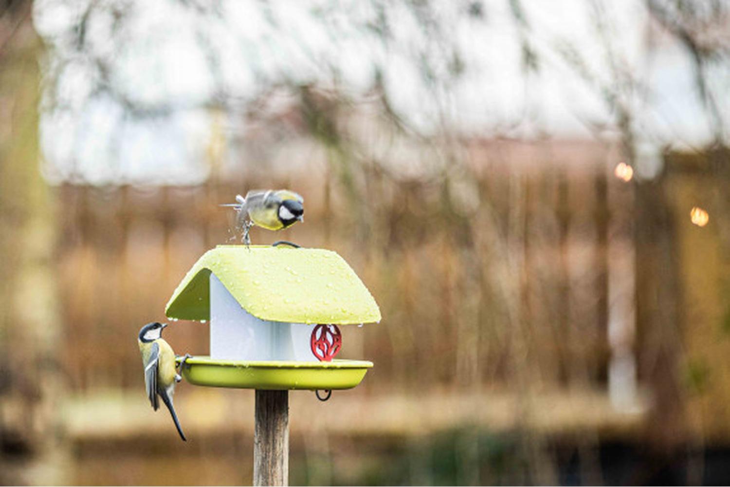 Plastia Domek Bird Feeder | Green | 21cm-5