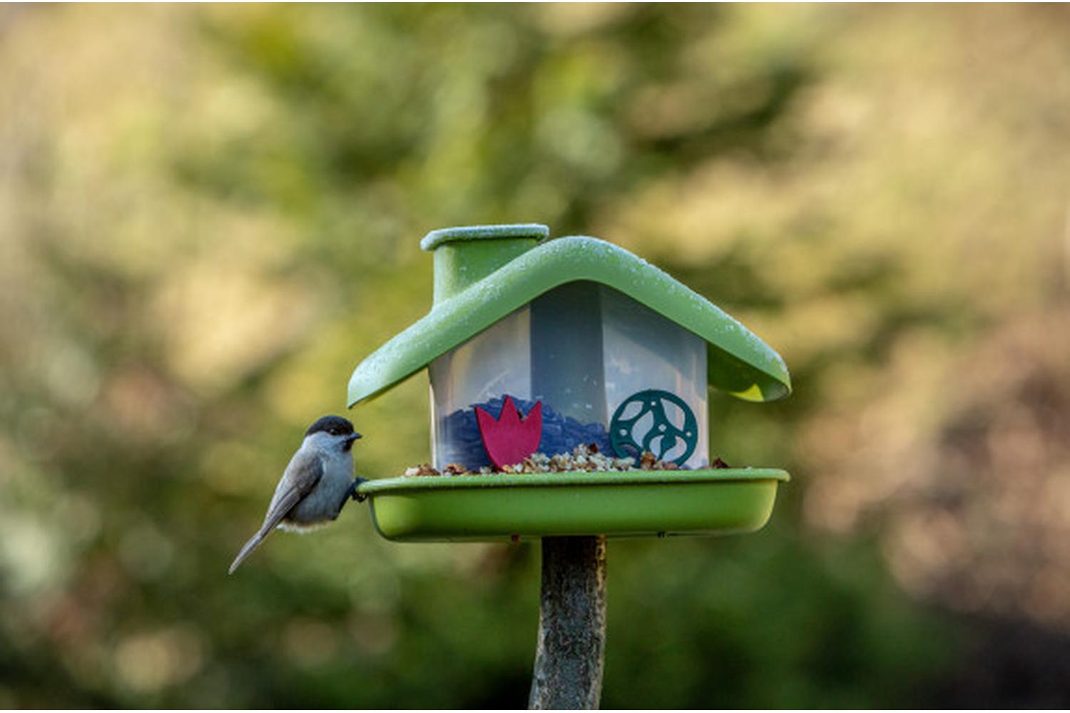 Plastia Domek Bird Feeder | Green | 21cm-8