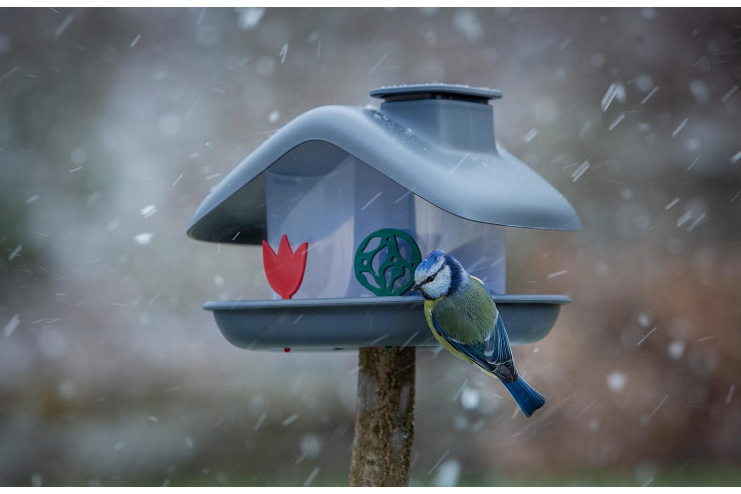 Plastia Domek Bird Feeder | Grey | 21cm-2