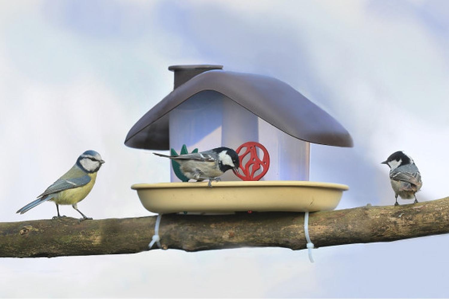 Plastia Domek Bird Feeder | Brown | 21cm-7