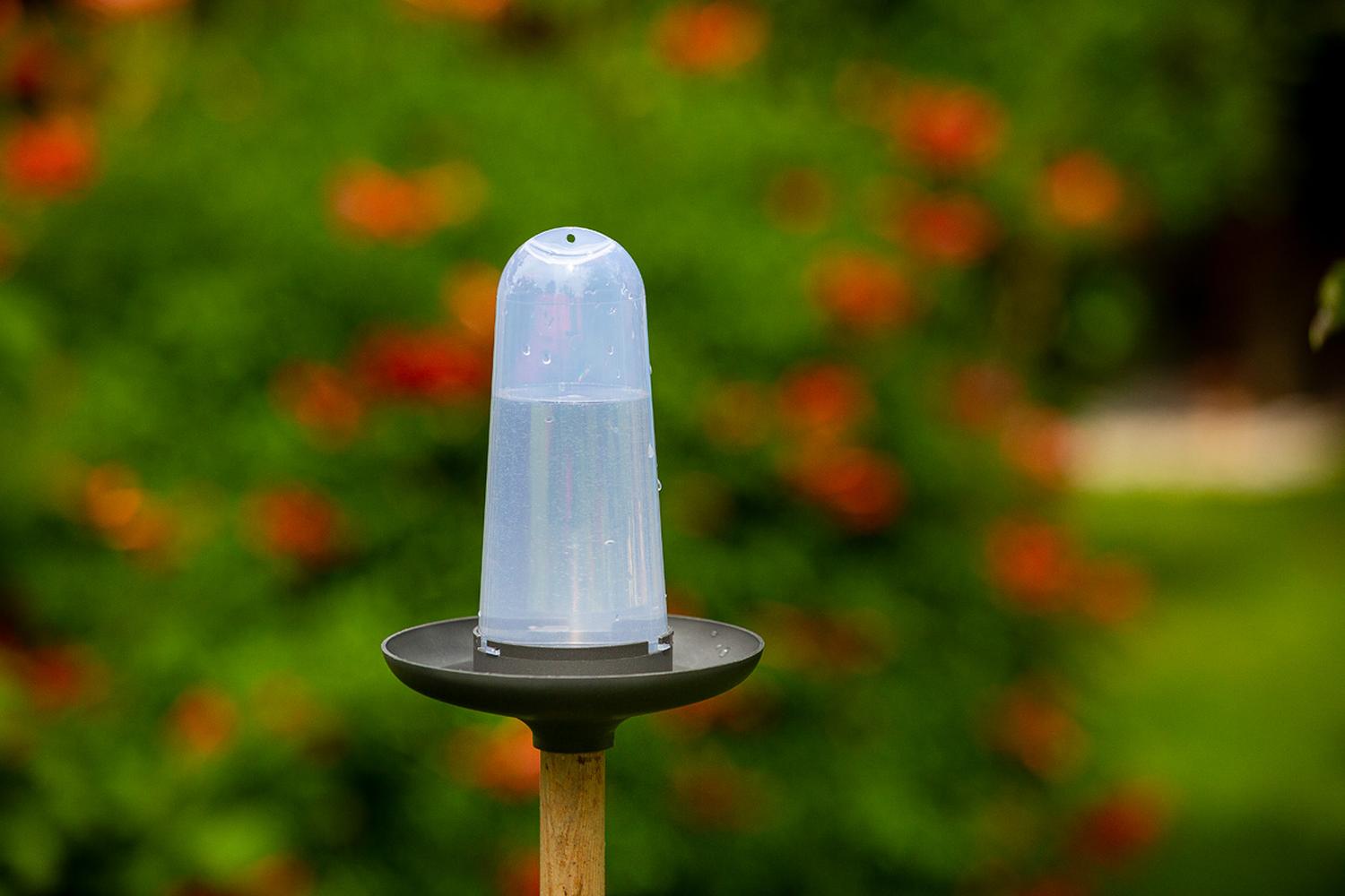 Plastia Robin Birdfeeder Birdbath | Anthracite | 22cm-4