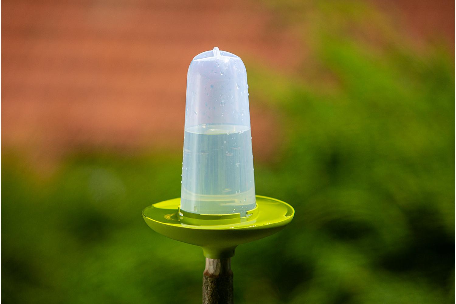 Plastia Robin Birdfeeder Birdbath | Green | 22cm-4