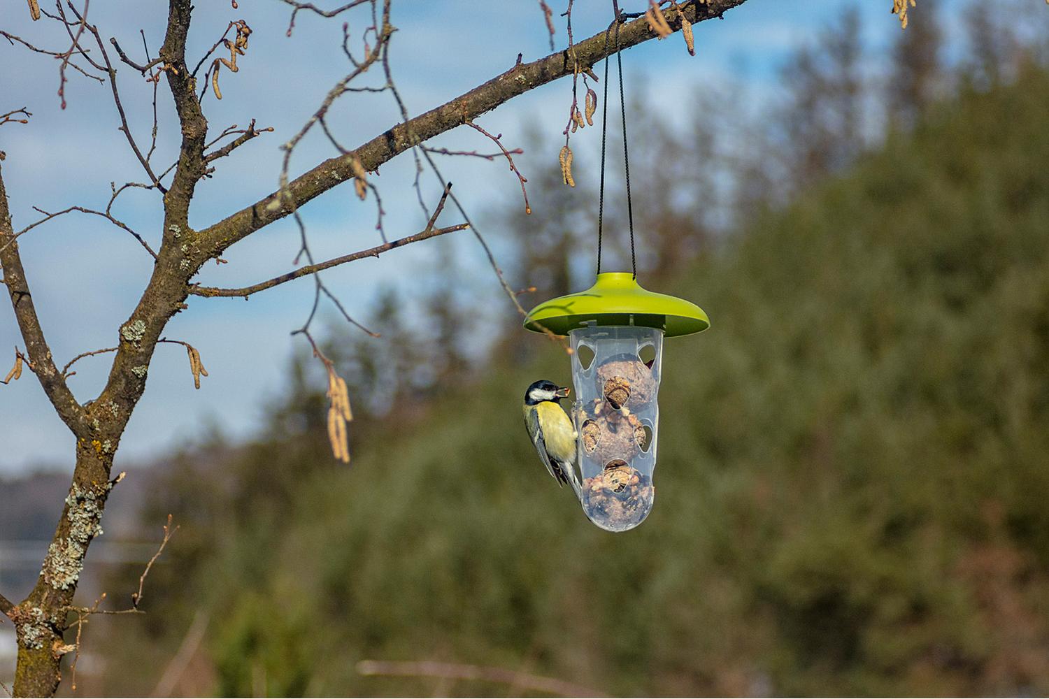 Plastia Robin Birdfeeder Birdbath | Green | 22cm-5