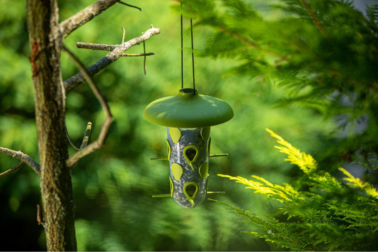 Plastia Robin Birdfeeder Birdbath | Green | 22cm-7