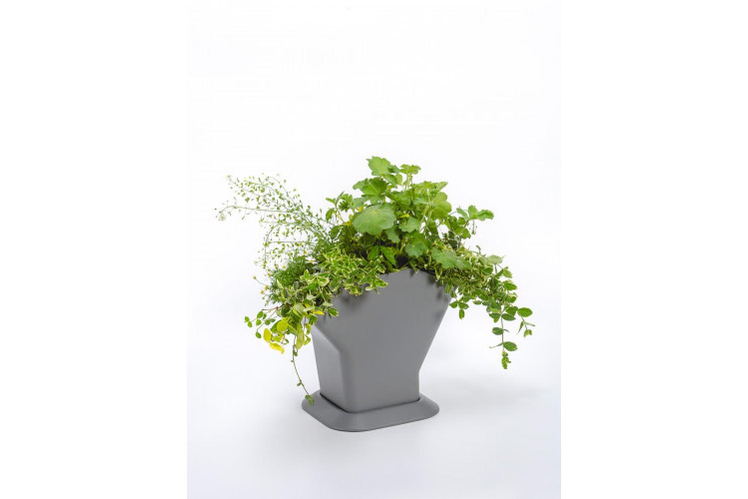 Plastia Tree Vertical Self-Watering Flower Pot | Grey | Set of 3 | 31.3cm-7