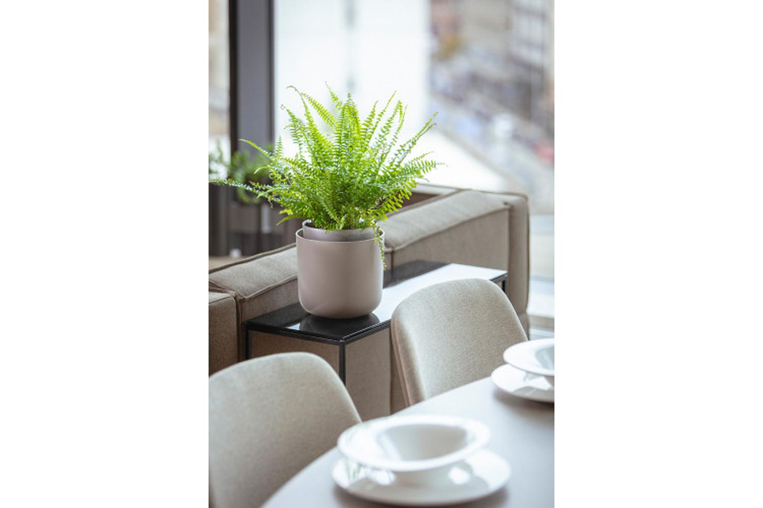 Plastia Tolita Flower Pot | Taupe | 16cm-3