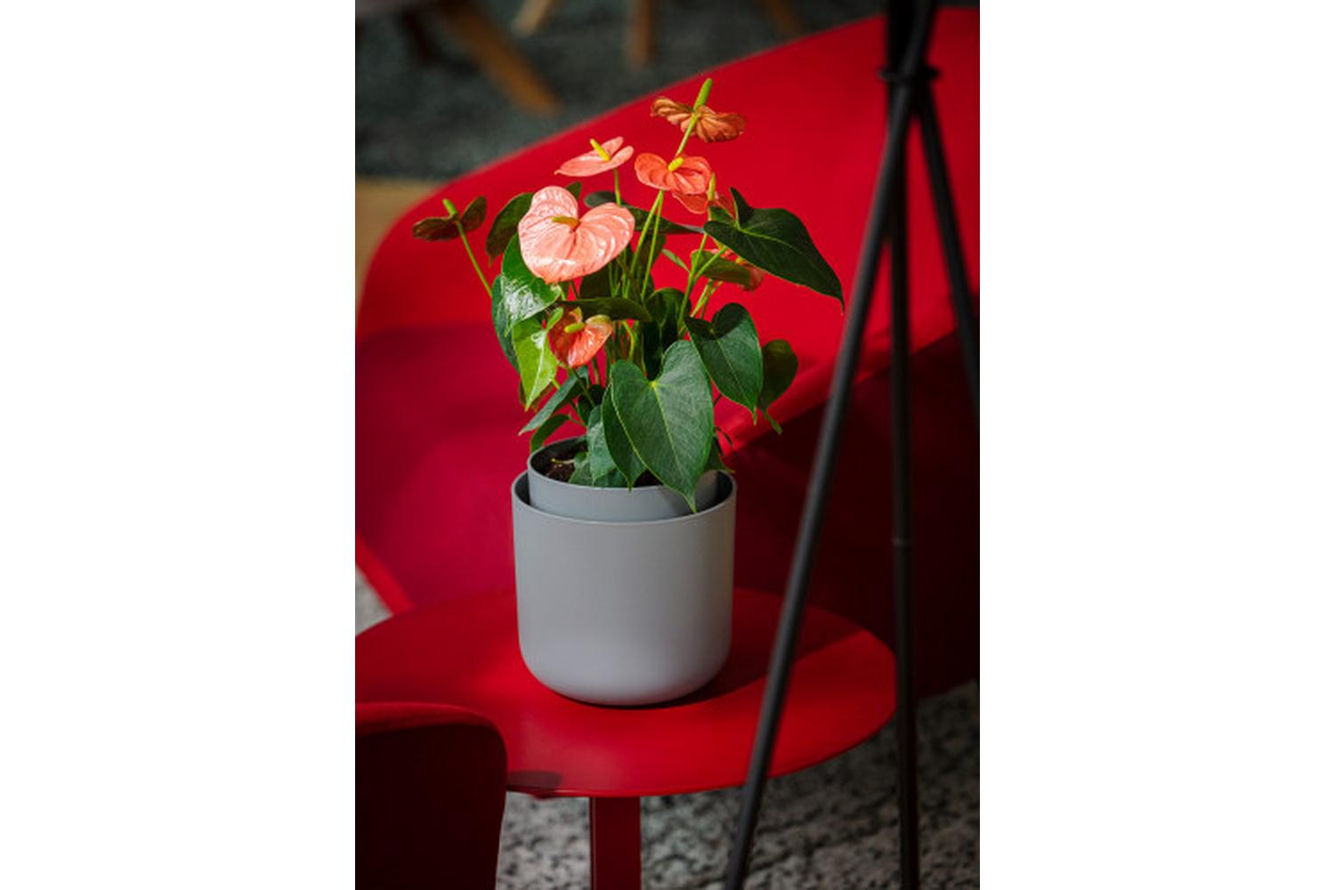 Plastia Tolita Flower Pot | Grey | 16cm-2