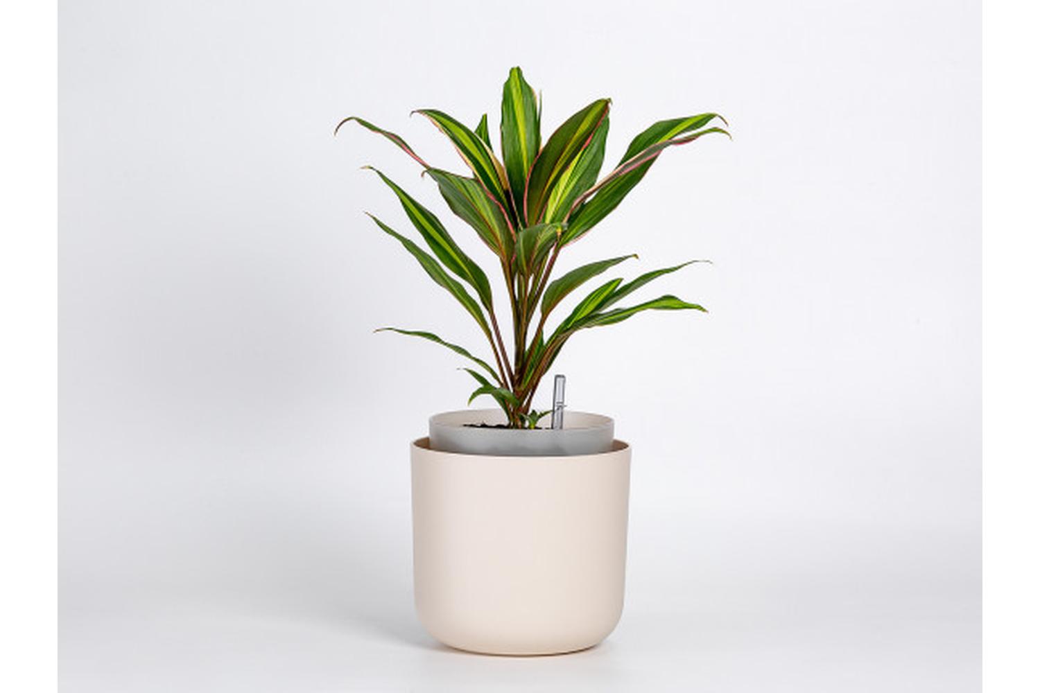 Plastia Tolita Flower Pot | Beige | 16cm-2