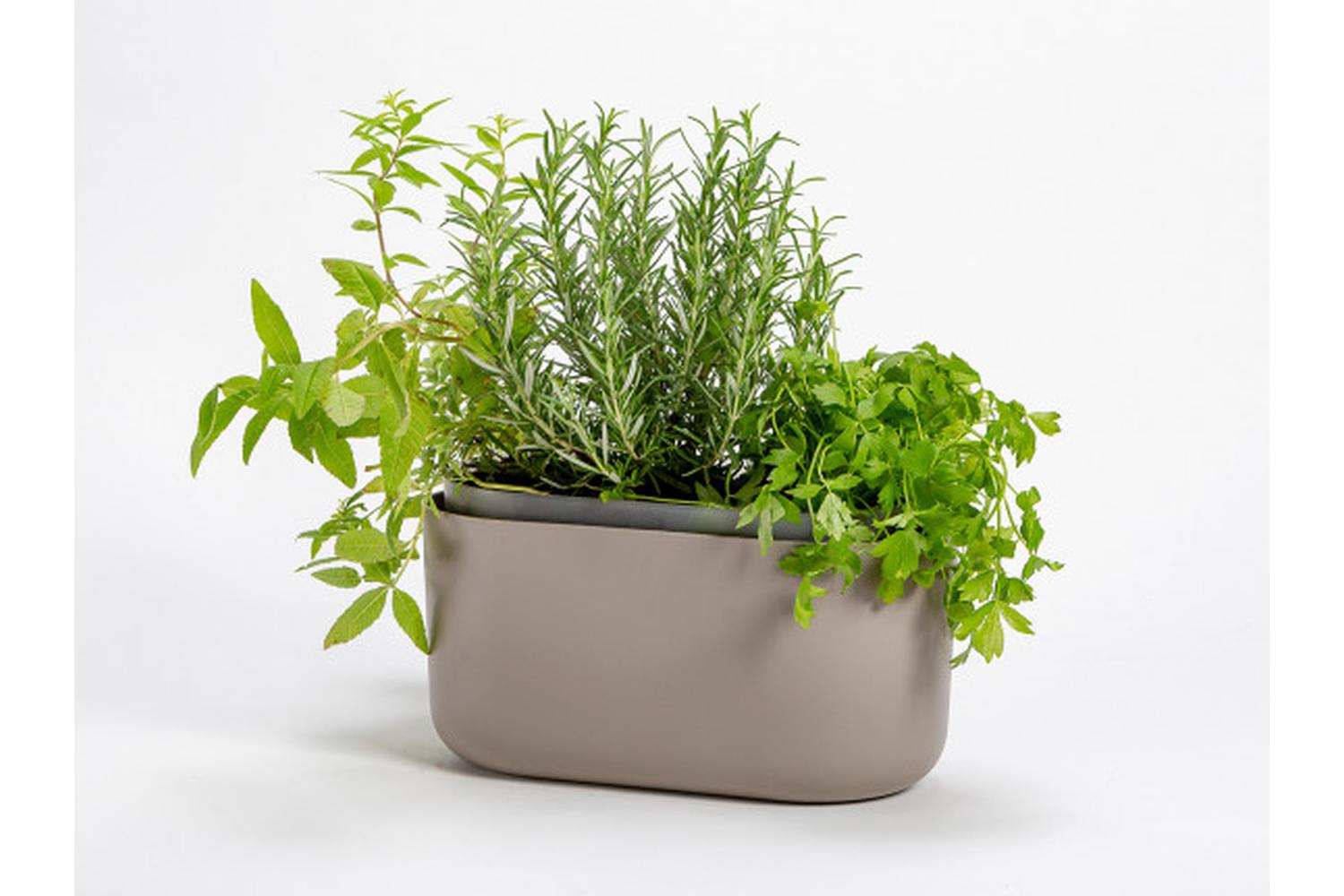 Plastia Tolita Flower Box | Taupe | 16.6cm-2