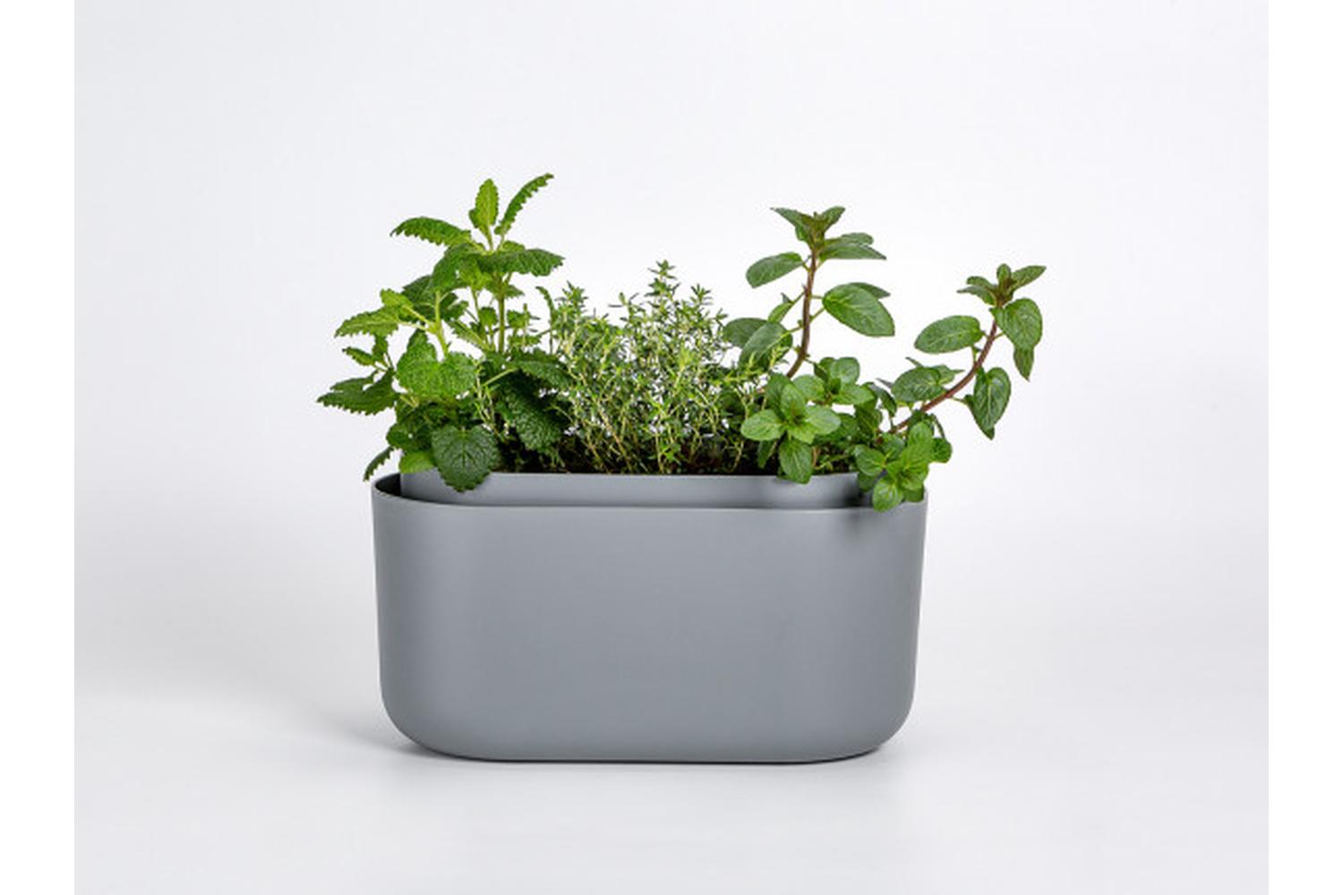 Plastia Tolita Flower Box | Grey | 16.6cm-2