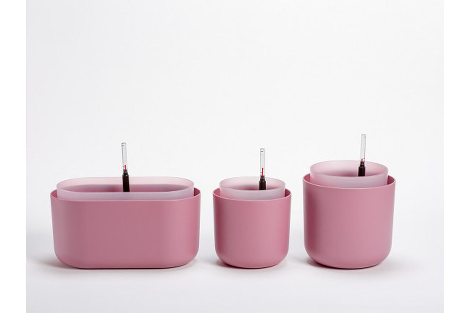 Plastia Tolita Flower Box | Pink | 16.6cm-4