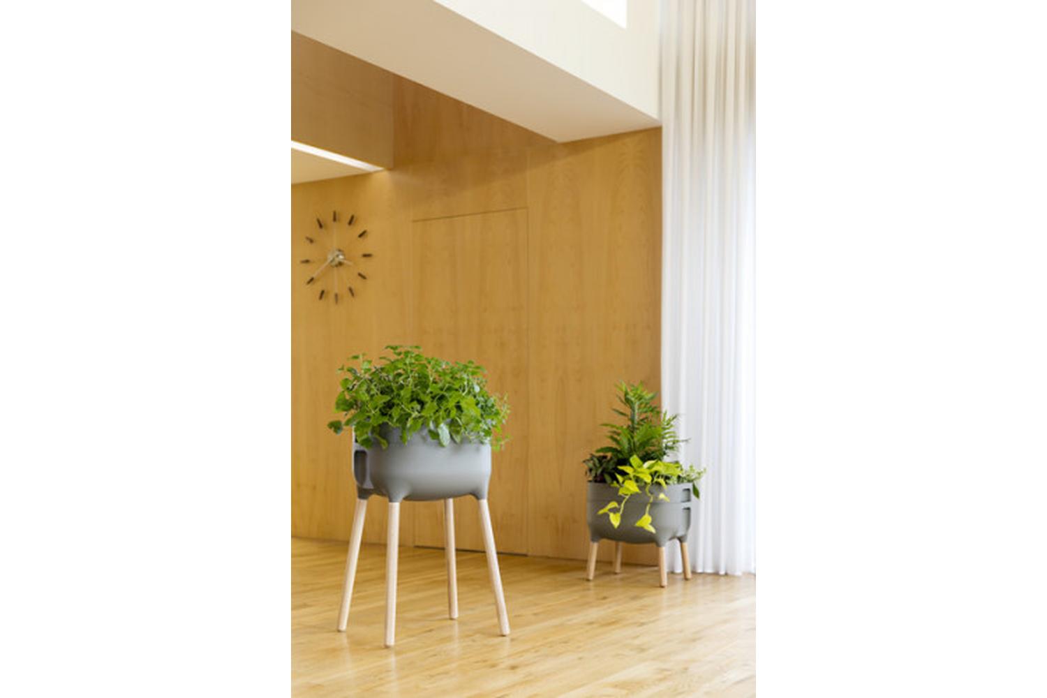 Plastia Raised Indoor Planter Urbalive | Grey | 77cm-5