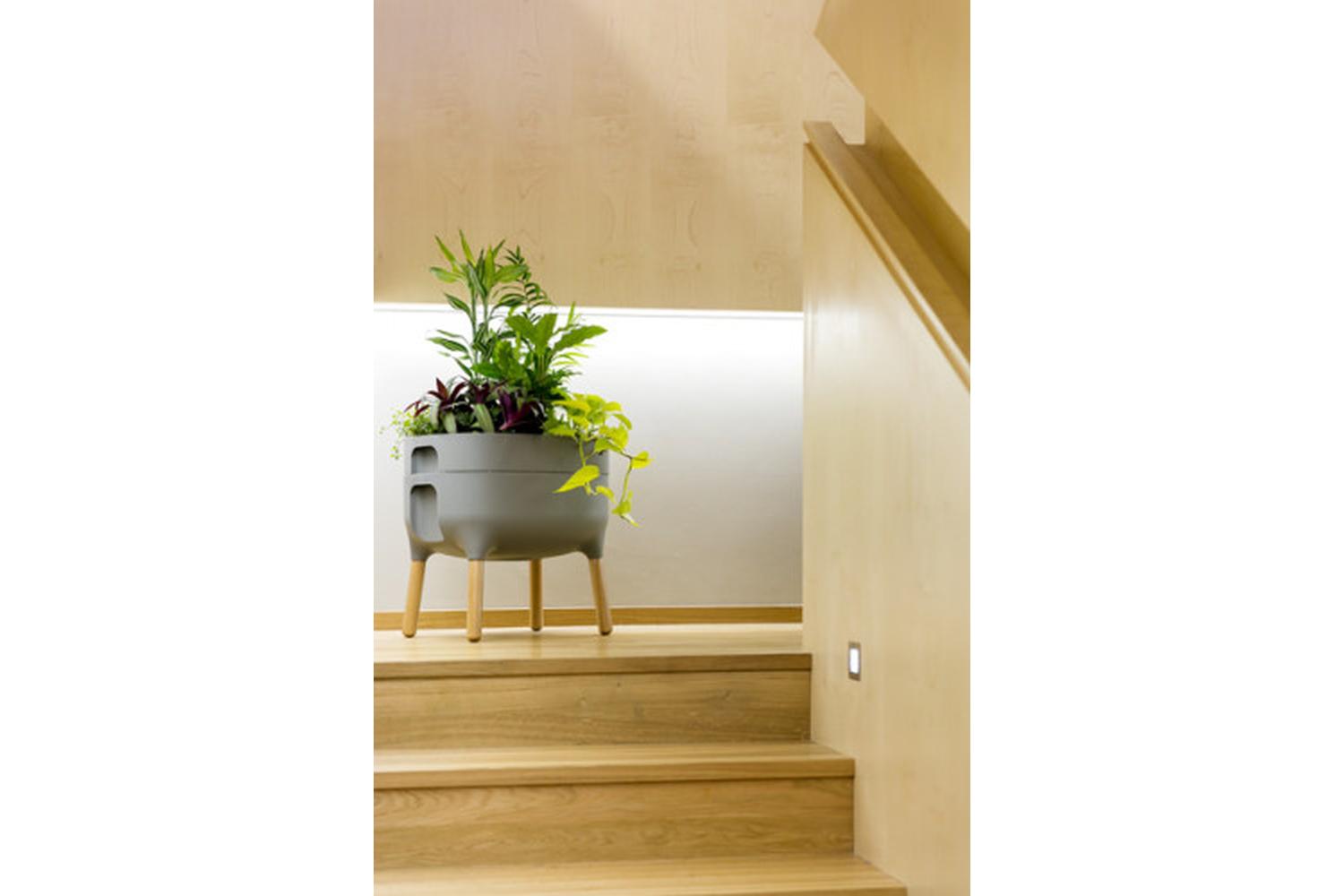 Plastia Indoor Low Planter Urbalive | Grey | 47.5cm-3