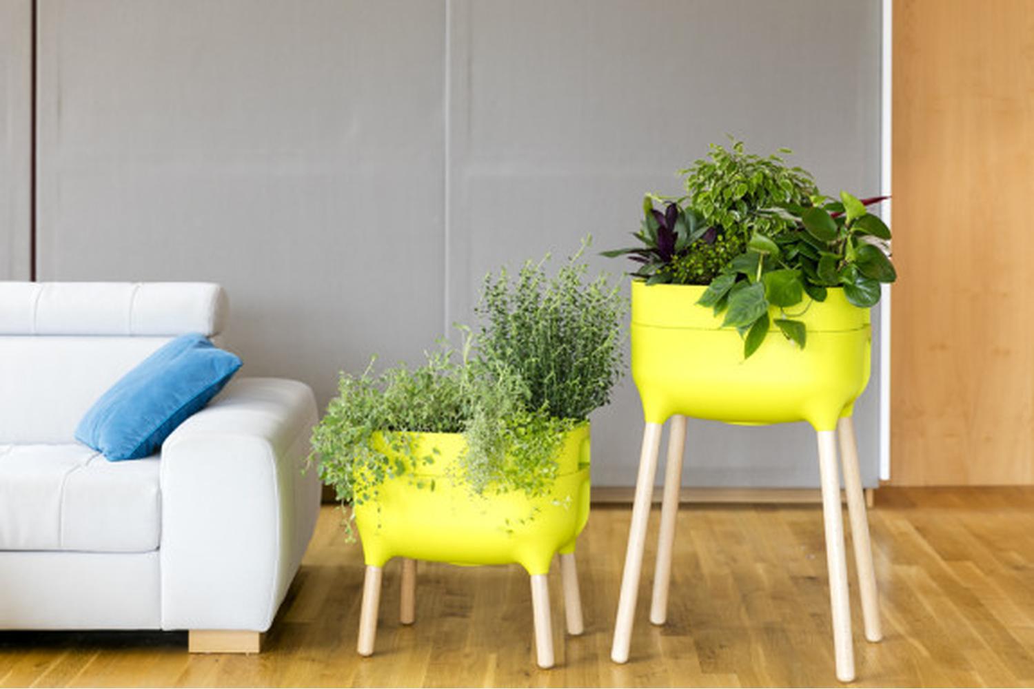 Plastia  Indoor Low Planter Urbalive | Green | 47.5cm-2