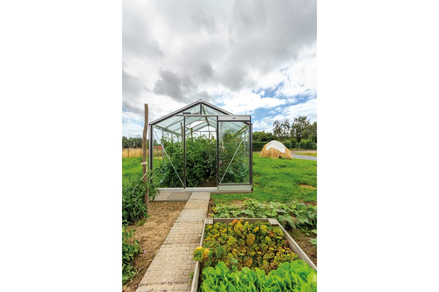 Erin Greenhouse Diy Kit Aluminium Profiles 4mm Clear Tempered Glass-5