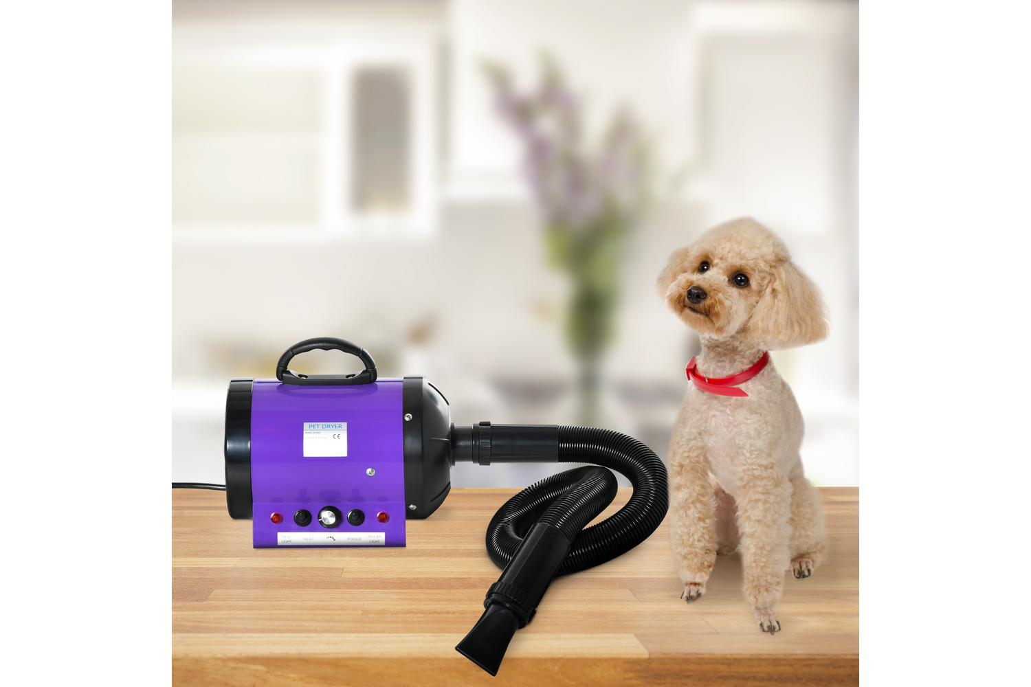 PawHut D01-021V70 2800W Dog Hair Dryer Pet Grooming Blaster | Purple