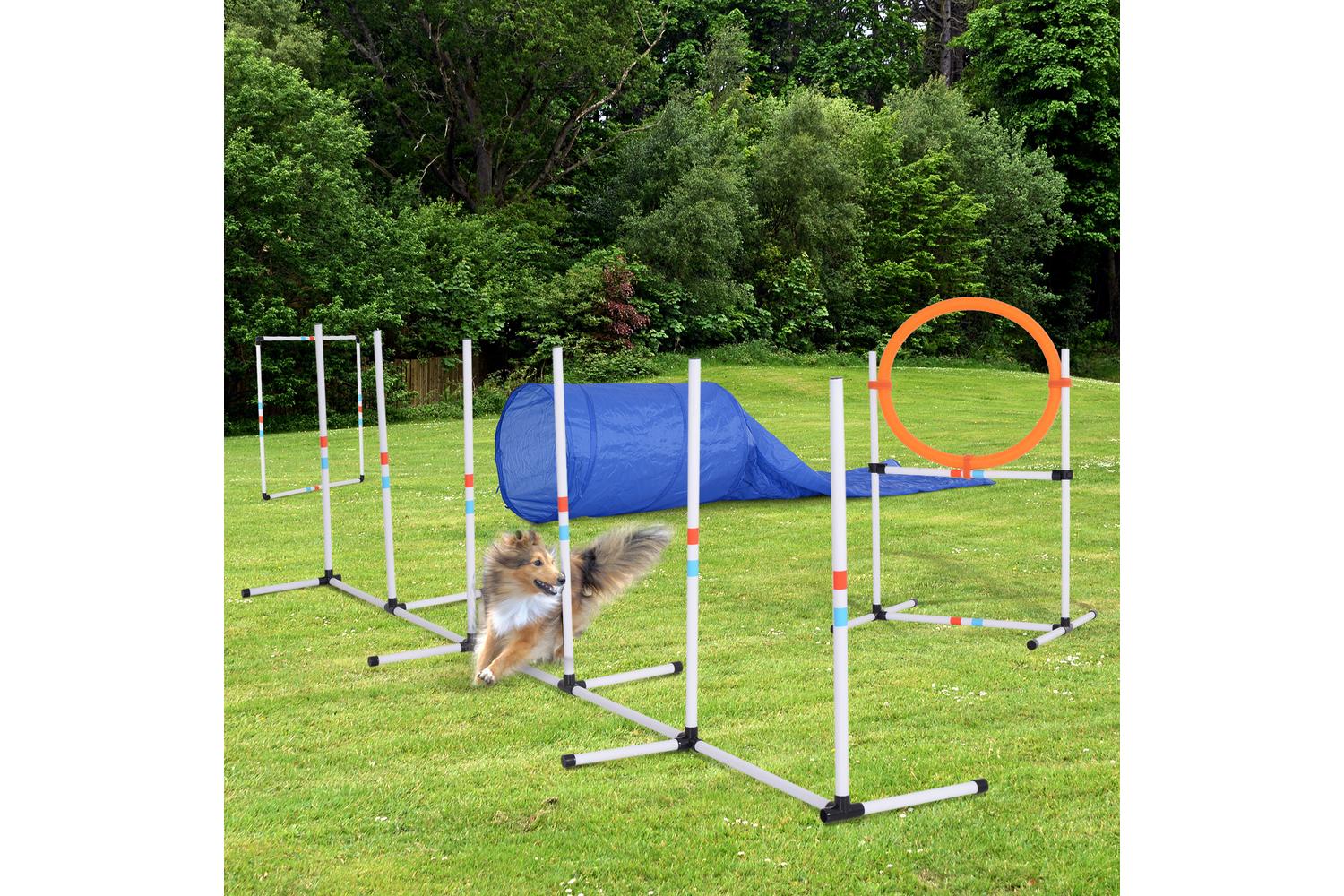 PawHut D07-022 Dogs PE Obstacle Agility Training Set | White