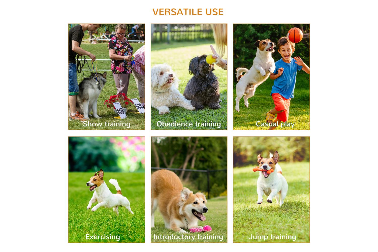 PawHut D07-024 Dogs 4-Obstacle ABS Agility Training Set | Yellow/Red-4