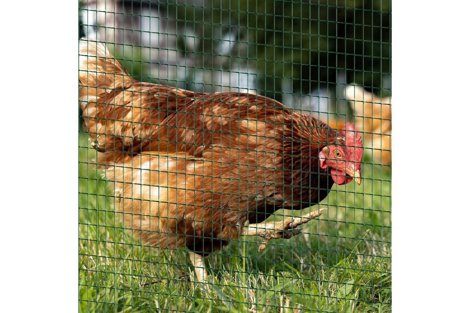 PawHut D1-0076 Wire Mesh Fencing Roll | Dark Green