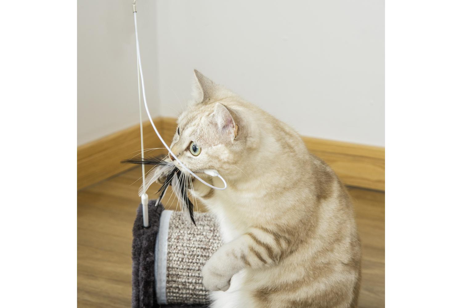 PawHut D30-193V01 Cat Scratching Post | Grey-7