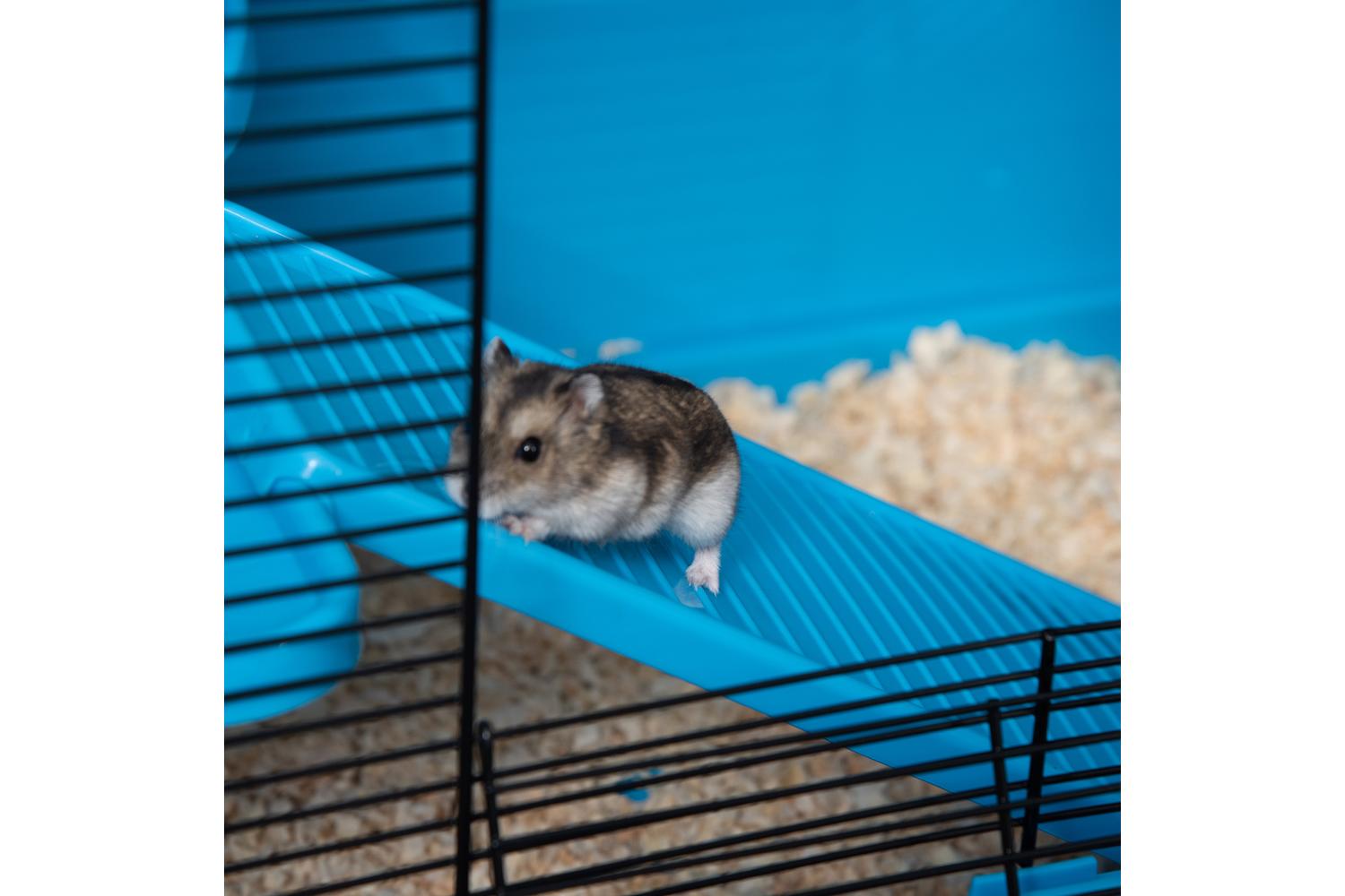 PawHut D51-276LB Small Animal Cage | Light Blue-9